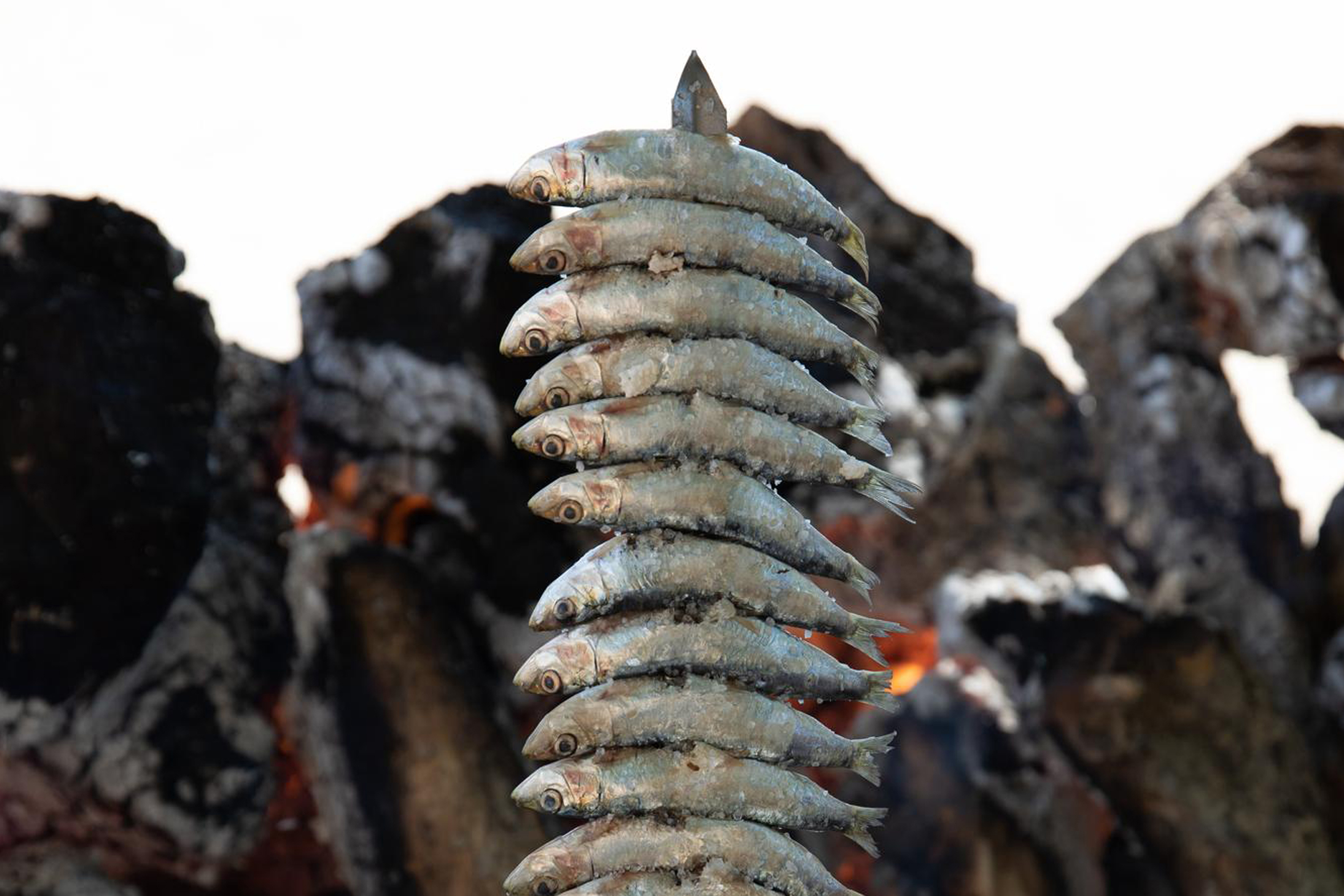 Málaga’s Sardine Espetos: the taste of summer by the sea